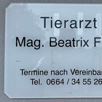 Vorschau von Beatrix Fiegl