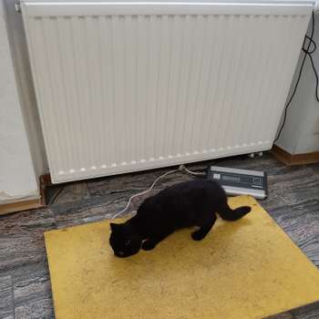 Vorschau von Tierarztpraxis Katja Nitsche