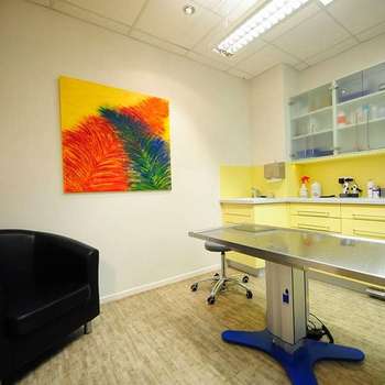 Vorschau von Kleintierpraxis in Burgdorf - Willenbockel & Völker GbR