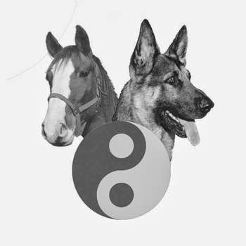 Vorschau von Tierarztpraxis für Physiotherapie und Akupunktur