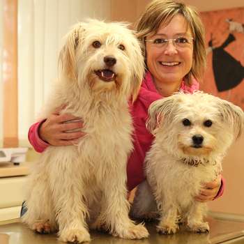 Preview of Dr.med.vet. Susanne Kratz