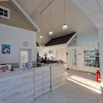 Vorschau von Tierarztpraxis Rödiger GmbH - Das Veterinärmedizinische Zentrum Falkensee