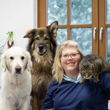 Vorschau von Kleintierpraxis Etelsen Christine Noga