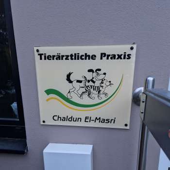 Vorschau von Chaldun El-Masri