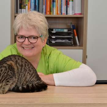 Vorschau von Tierarztpraxis Dr. Stephanie Findel