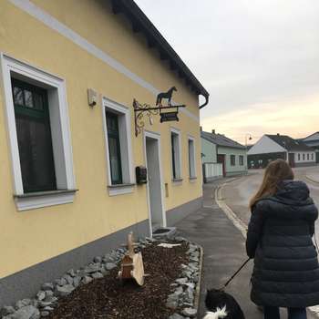 Vorschau von Tierarzt Dr. Palm Franziska