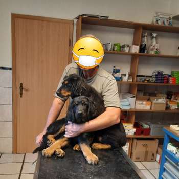 Vorschau von Dr. med. vet. B. Eigendorf