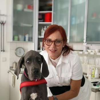 Vorschau von Tierarztpraxis Dr. Ariane Valentin Fachtierärztin