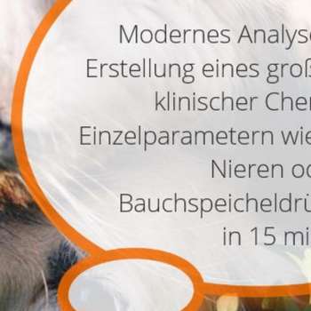 Vorschau von Kleintierpraxis Döhren
