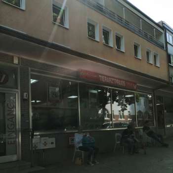 Vorschau von Tierarztpraxis Dr. (BG) Kanti Gysenbergvet