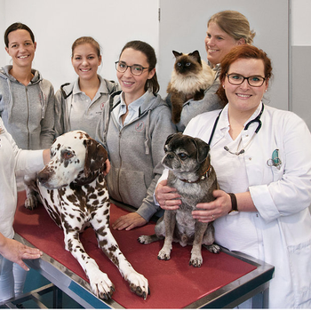 Vorschau von Kleintiermedizin am Lützowufer