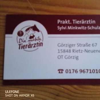 Vorschau von Tierärztin Frau Sylvi Minkwitz-Schulze