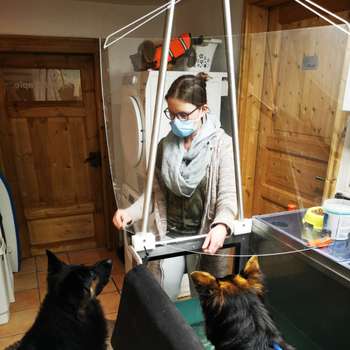 Vorschau von Tierphysiotherapie & Naturheilpraxis