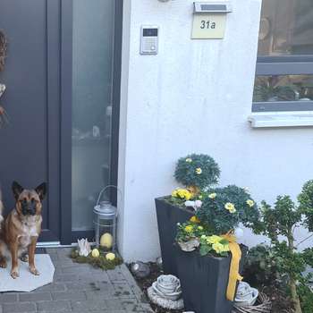 Vorschau von Bettina Weinert Tierärztin