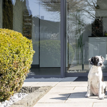 Preview of Tierklinik Dr. Reif (Böbingen)