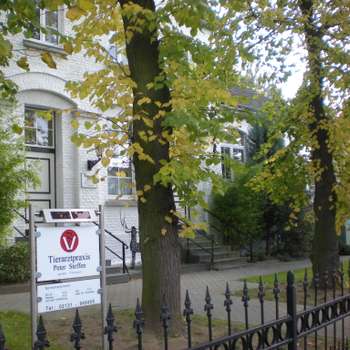 Vorschau von Tierarztpraxis Steffen