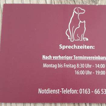 Vorschau von Schulze Rückamp Larissa