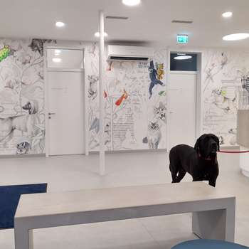 Vorschau von Tierklinik Wiener Neustadt