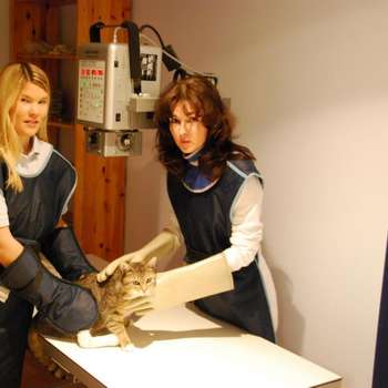 Vorschau von Dr.med.vet. Marion Andreas