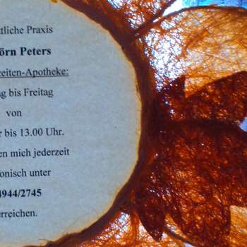 Vorschau von Dr.med.vet. Jörn Peters Tierarzt
