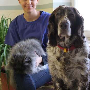 Vorschau von Rosengartenkleintierpraxis Dr. med. vet. Shay Soriano