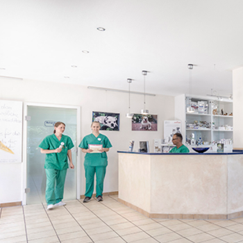 Vorschau von Tierärztliche Klinik für Kleintiere - Leverkusen
