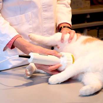 Vorschau von Dr. Christine Menges Tierärztin