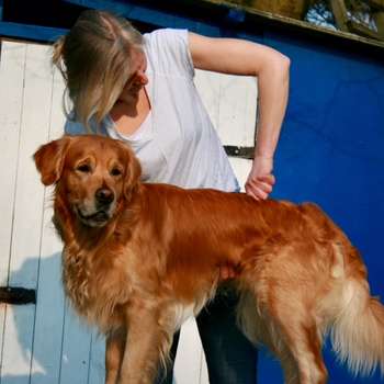 Vorschau von Daniela Heinemann - Chiropraktik für Hunde