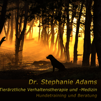 Preview of Dr. med. vet. Stephanie Adams - Tierverhaltenstherapie