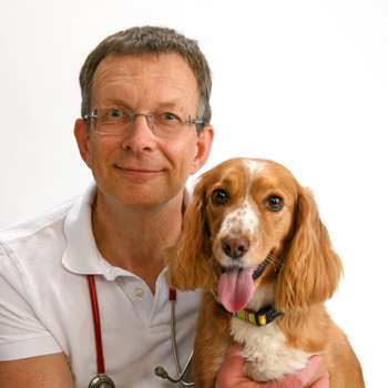 Vorschau von Dr. Jens Wagneder