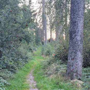 Vorschau von Tierarztparxis Elvire Hudler Oerlinghausen