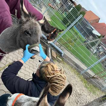 Vorschau von Kerstin Rückwardt