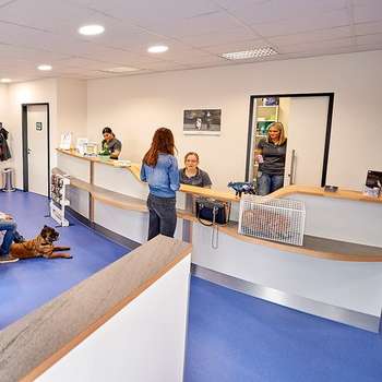 Vorschau von AniCura Tierarztpraxis Benrath GmbH