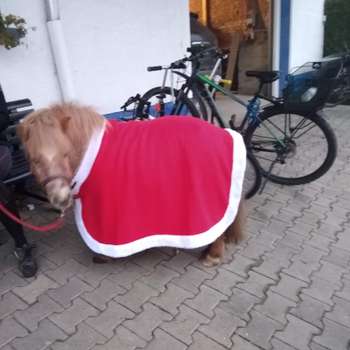Vorschau von Tierarztpraxis Hannah Schneider