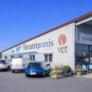 Vorschau von Tierarztpraxis Fehring