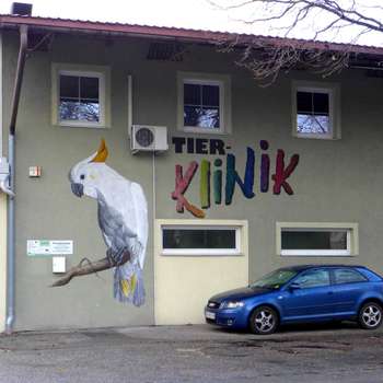 Vorschau von Dr. Christian Schwingshandl (Inhaber Tierklinik)