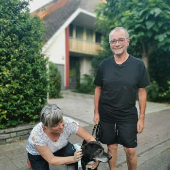 Vorschau von Tierarztpraxis Dr. Anne Zapf
