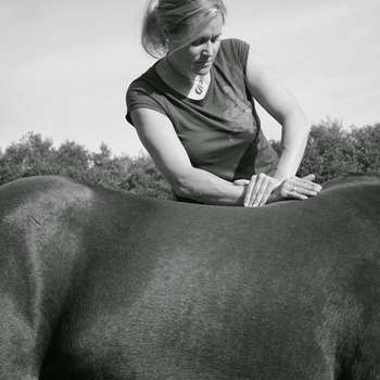 Vorschau von Tierchiropraxis - Dr. med. vet. Christiane Hagen