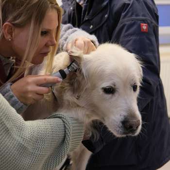 Vorschau von Tierklinik für Naturheilkunde am Förderturm mit Tierärztlicher Abteilung