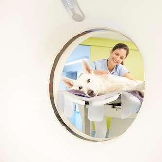 Vorschau von Tierklinik Kellerwessel in Köln - Tierärztliche Klinik mit 24h Notdienst