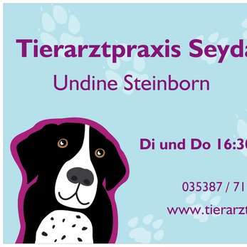 Vorschau von Tierarztpraxis Seyda