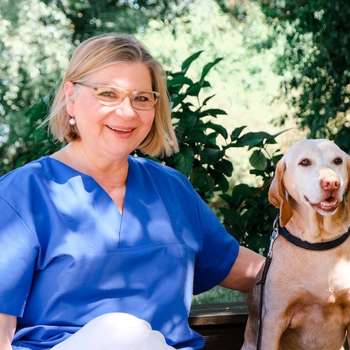 Vorschau von Tierarzt Menger Weitramsdorf, Tierarztpraxis Dr. med. vet. Martina Menger