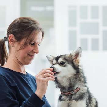 Vorschau von Tierklinik Fuhlsbüttel