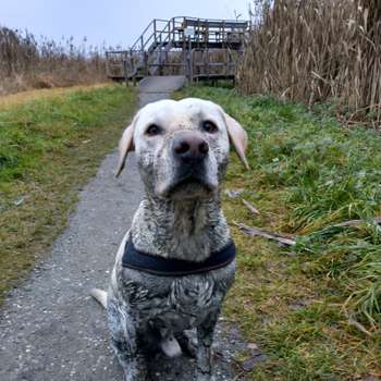Vorschau von Tierärztliche Gemeinschaftspraxis in Oberschwaben