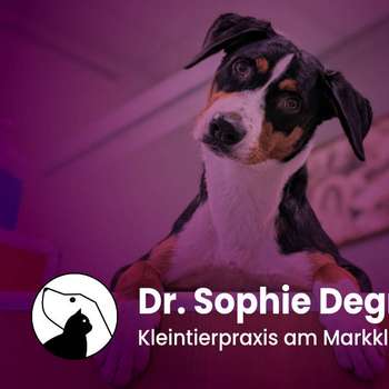 Vorschau von Dr. Sophie Degner - Kleintierpraxis am Markkleeberger See