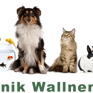 Vorschau von Tierklinik & Tierärztliche Apotheke Dr Anton & Barbara Wallner