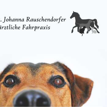 Vorschau von Tierärztliche Fahrpraxis Dr. Johanna Rauschendorfer