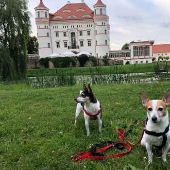 Vorschau von Dr. med. vet. Ines Schmid