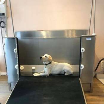 Vorschau von Aktive Pfoten Tierphysiotherapie