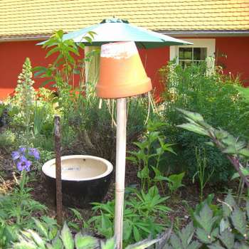 Preview of Michaela Ried Tierheilpraktikerin